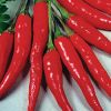 Red Chilli | Spices | ...