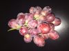 RED GLOBE GRAPES