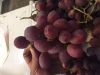 RED GLOBE GRAPES