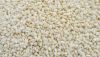 Sesame seeds,  Black S...