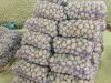 Quality Potatoes By Wholesale - For Export