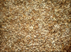 Wheat, 3 Grade