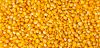 Natural Yellow Dry Corn