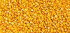 Natural Yellow Corn Gr...