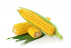 Natural Yellow Dry Corn