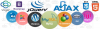 Business website Designing