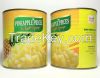 CANNED FRUITS(pineapple/lychee)