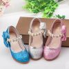 little princess shoe f...