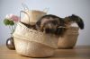 Seagrass belly baskets...