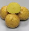 Organic Brushed Irish Potatoes