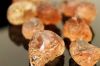 Gum Arabic - Acacia Se...