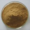 Green Coffee Bean Extract best quality 