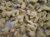 SPLIT DRIED GINGER