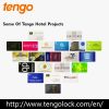 Patent Design 13.56MHz Hotel Project High Security ANSI Standard RFID Access Control Hotel Card lock