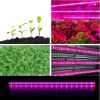 integrated T8/T5 Led Indoor Grow LIght Full Spectrum or RB Ratio