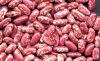 Red Kidney Beans/ Red ...