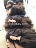Mannequin Training Head, Human Hair or Synthetic Hair, Factory Supply