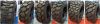 skid steer tires bobca...