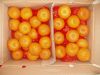 Grade A Fresh Fruits, Apples, Organges, Lemons, Grapes, Olives, Mangoes For Sale