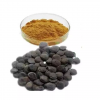 Griffonia Seed Extract CAS No 56-69-9