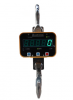 Crane scale, hanging scale, direct-view crane scale, hook weighing scale