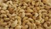 Cashew Nut