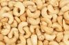 Cashew Nut