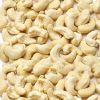 Cashew Nut