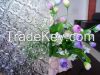 3-8mm clear rolled glass sheet patterned figured glass