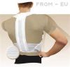  back support belt