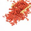 2017 Crop NINGXIA conventional organic dried goji berry for sale