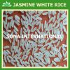 JAMINE WHITE RICE 5% BROKEN - CHEAPEST RICE - THE BEST SELLING - HIGH QUALITY - HIGH PURITY