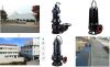 Submersible Pump (WQ s...