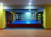 UWIN hot sale high quality AIBA boxing ring 5m*5m*1m