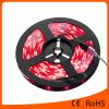 5050 RGBled flexible strip light 30led/m waterproof led light strip for Chrismas lighting