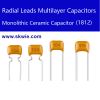 Radial leads capacitor 100NF X7R +-10% 630V 1812 Multilayer Ceramic Capacitor manufacturer