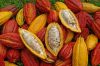 Cocoa Beans