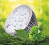 36W 54W 3-Year Warranty LED Grow Light for Hydroponics