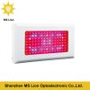 High Power LED Grow Light with 200W 300W 500W 600W 800W