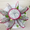 Dragon Fruit