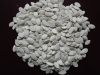 Shelled White Pumpkin Seeds Grade AA