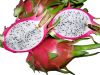 Dragon fruit