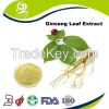 Ginseng Leaf Extract Ginsenosides UV 80%