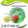 Ginseng Leaf Extract Ginsenosides UV 80%