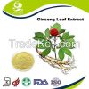 Ginseng Leaf Extract Ginsenosides 40% HPLC