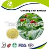 Ginseng Leaf Extract Ginsenosides 40% HPLC