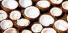 Mature Coconut