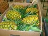 MD2, Class A Fresh Golden Pineapples