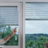 Hollow Shutter Window Glass