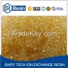 water treatment polymers strong acid cation ion exchange resin